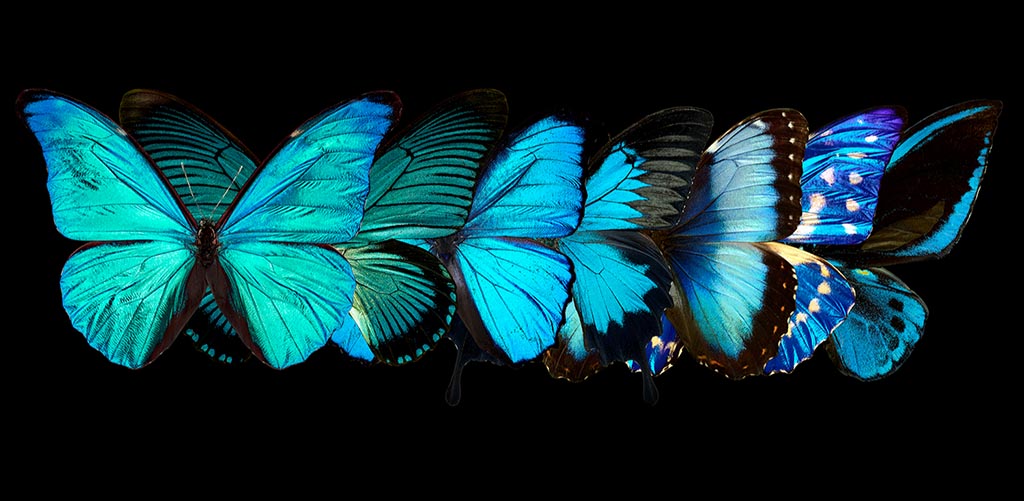 Blue, Blue, Blue (Série/Series) - Galerie d'Art Beauchamp