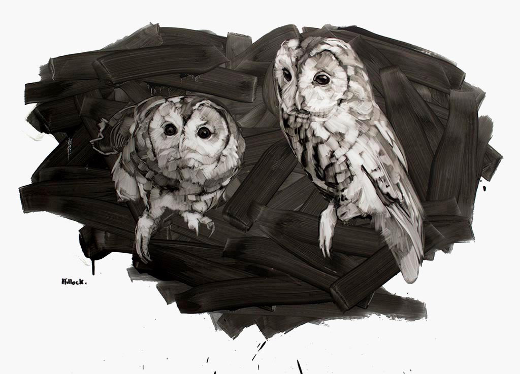 Shona and Shane - Galerie d'Art Beauchamp