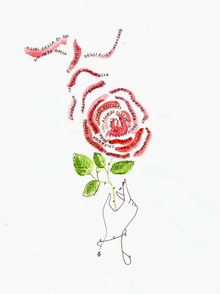 Une rose - Galerie d'Art Beauchamp