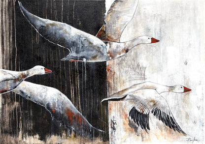 Sur les ailes du vent