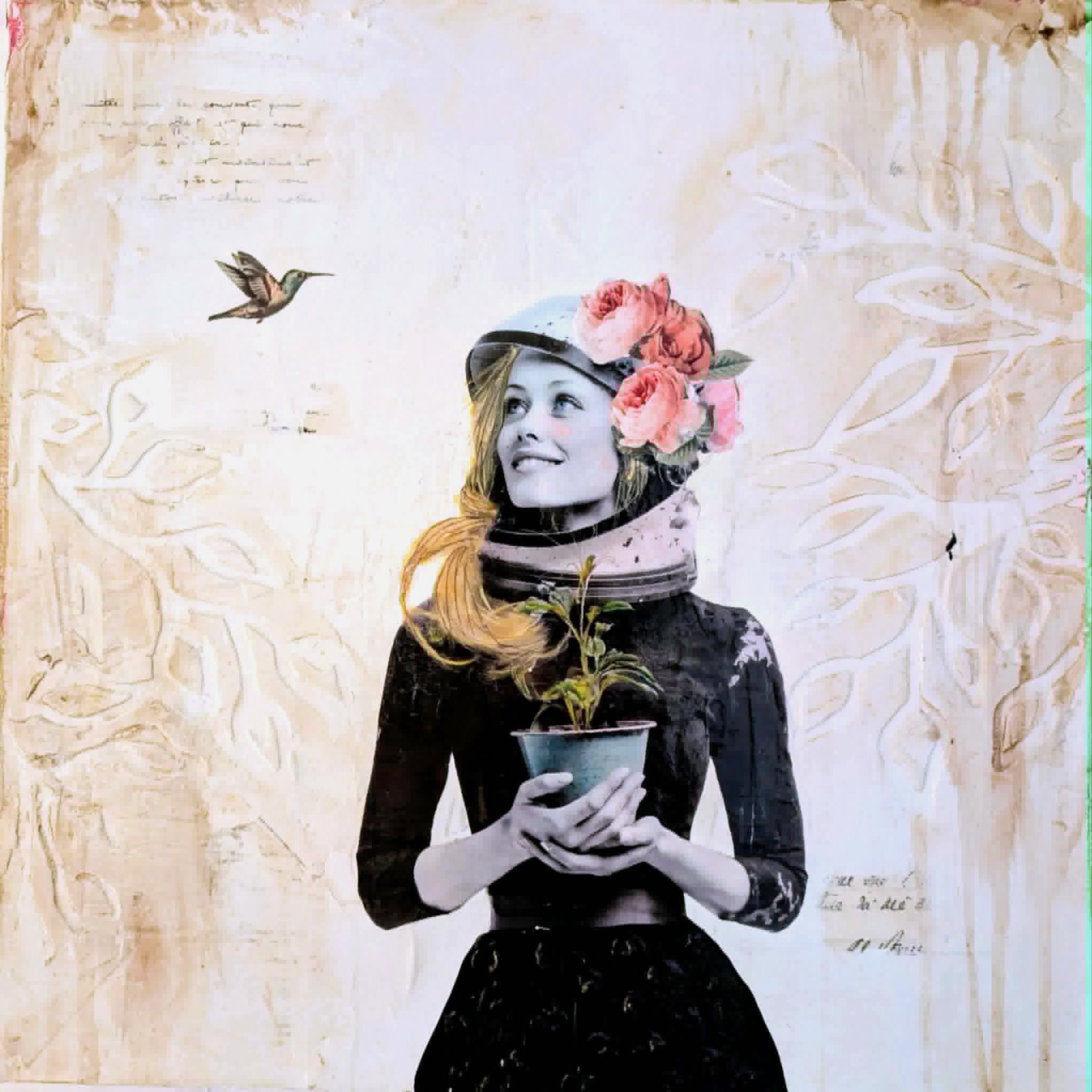 Là ou chantent les oiseaux
