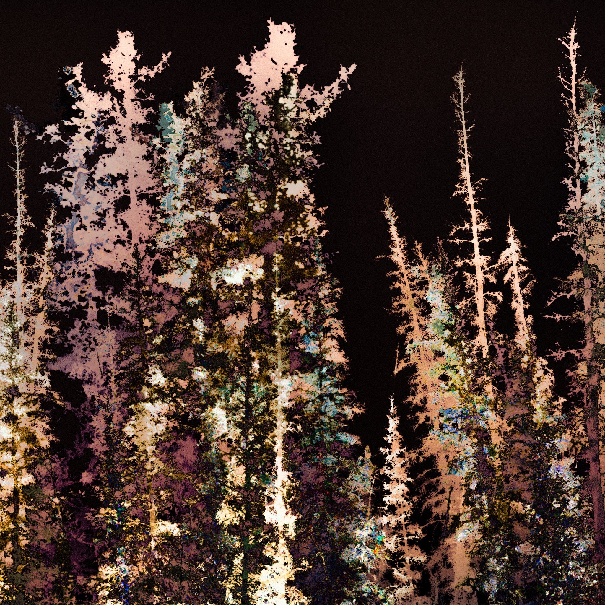 Les forêts, 7 août 23h30