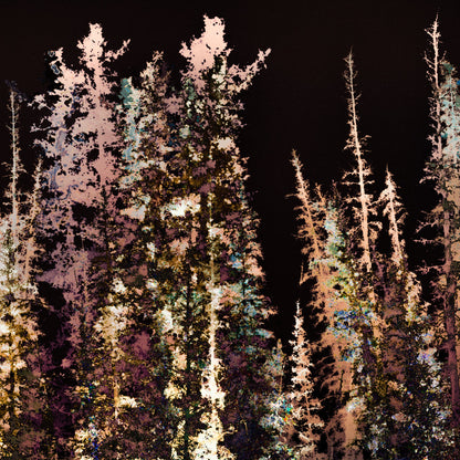 Les forêts, 7 août 23h30