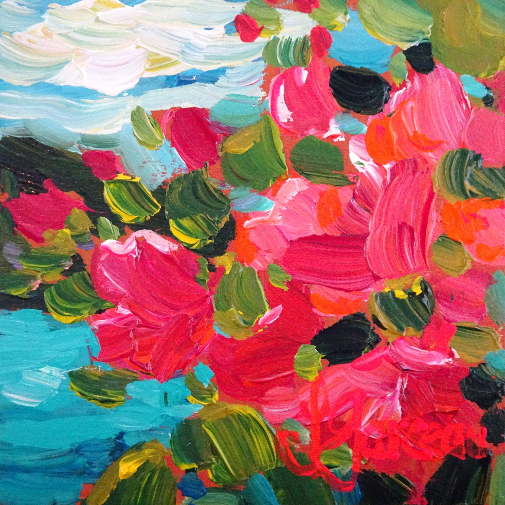 Fleurs à l’île Catalina