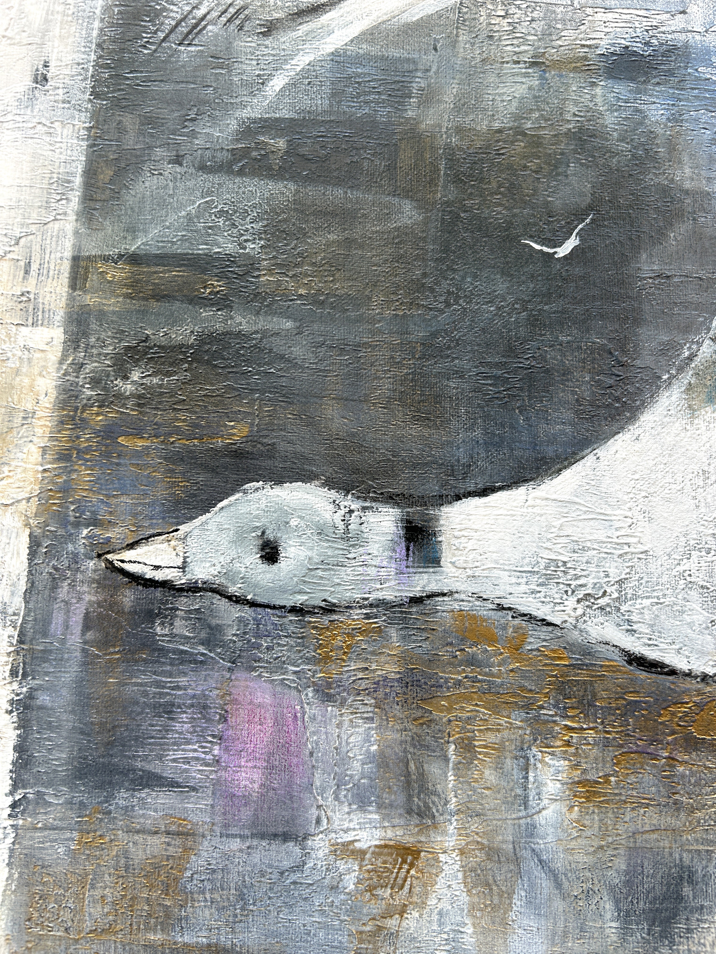 Le long périple des oies blanches