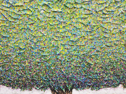 Déambulation Aveyronnaise