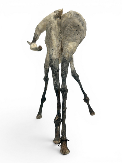 Liht II