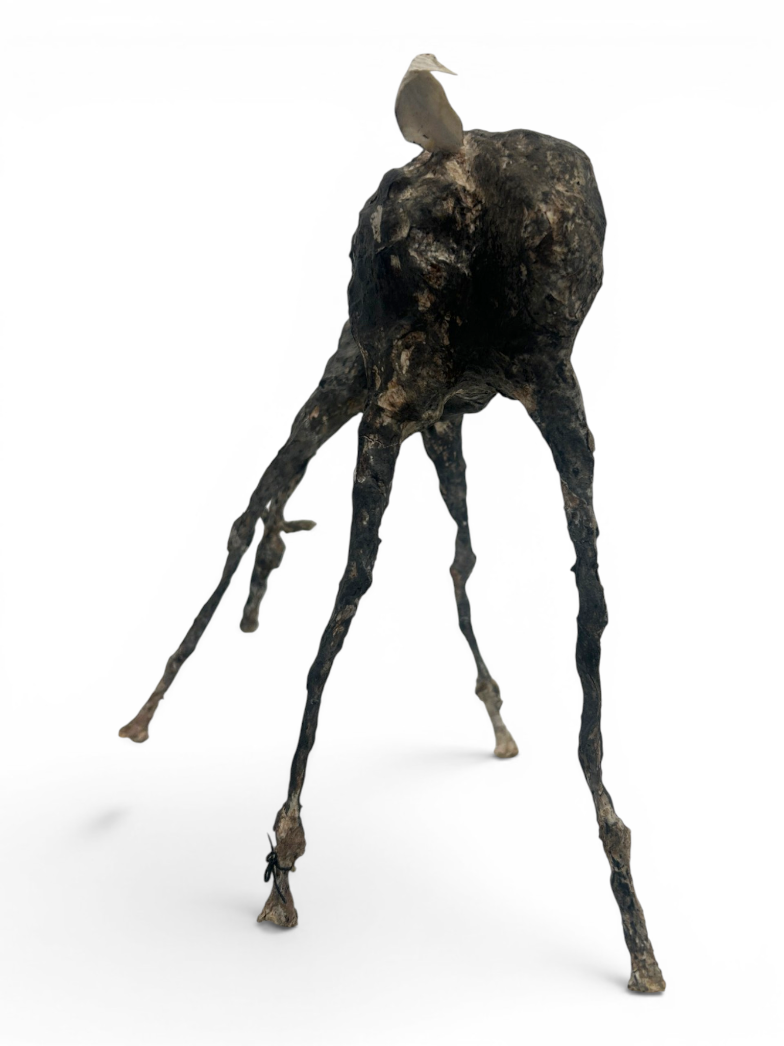 Bruska II