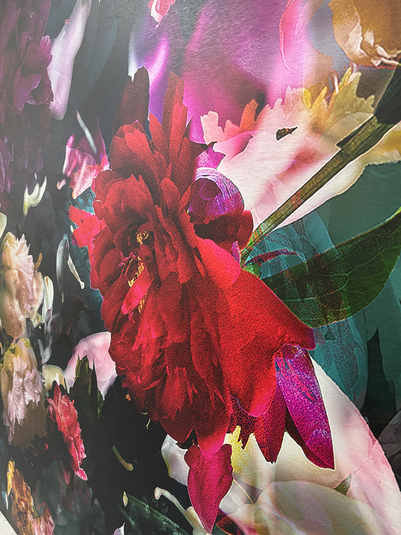 Les pivoines, 21 juin 14h47