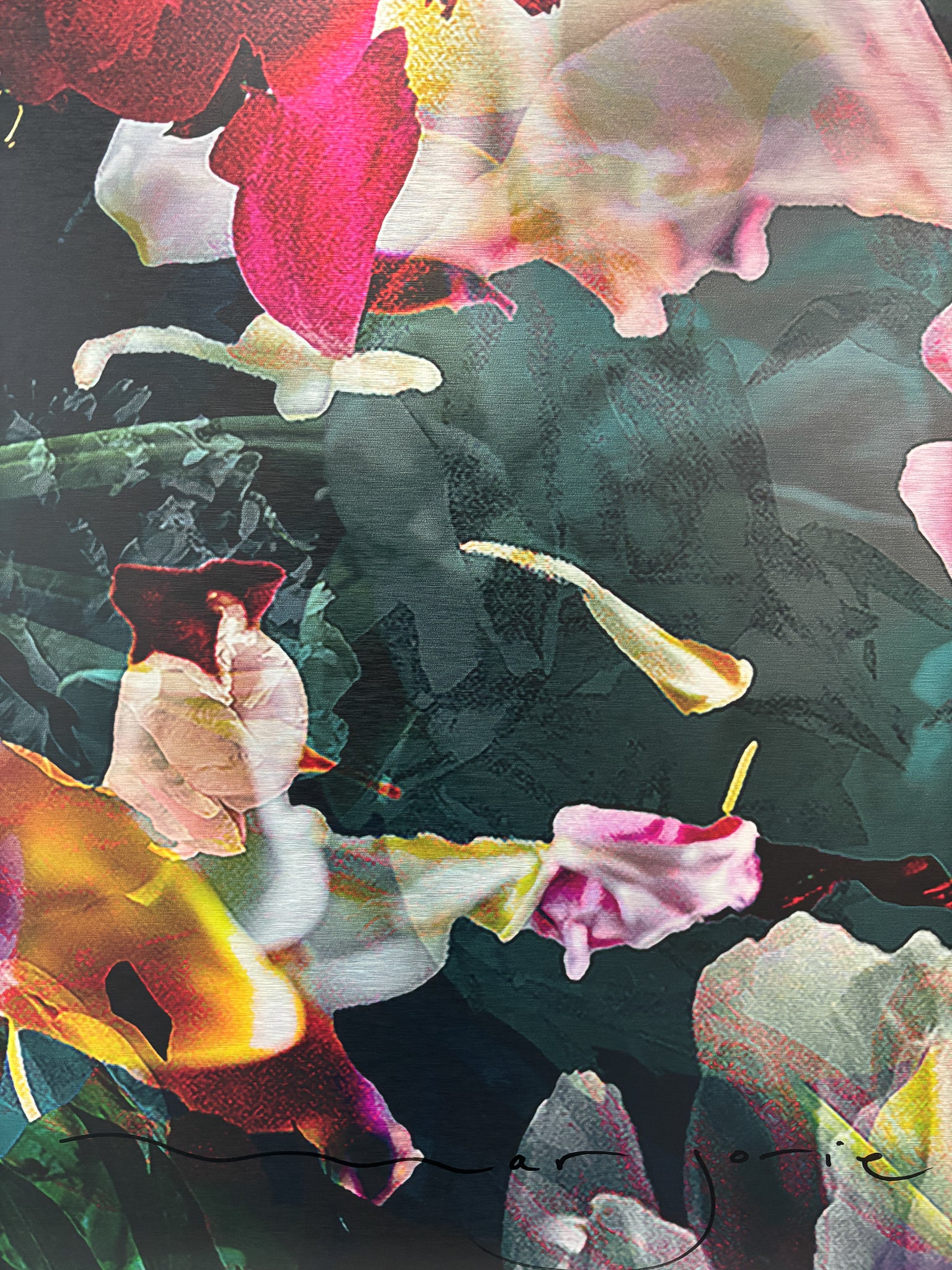 Les pivoines, 21 juin 14h47