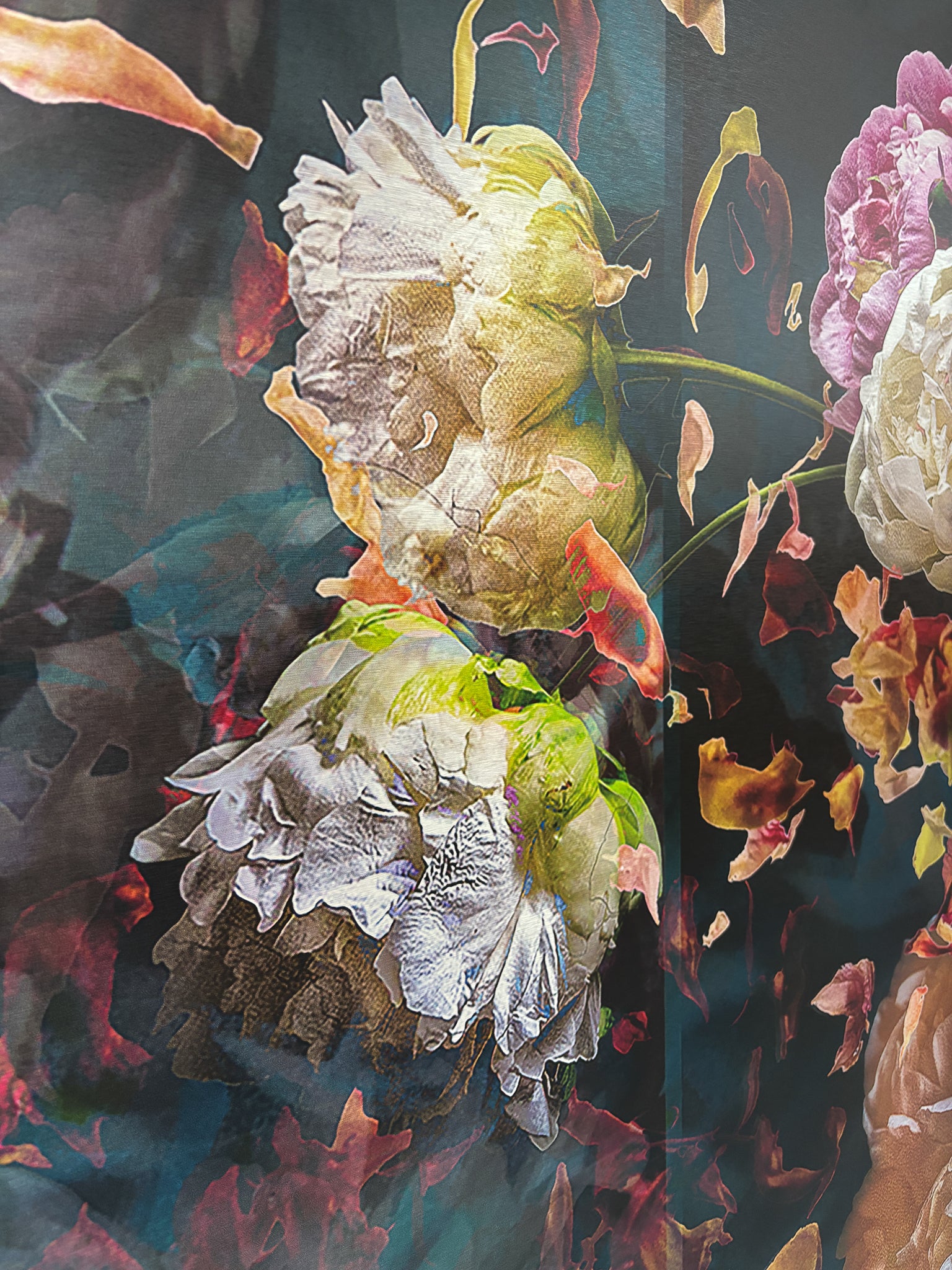 Les pivoines, 24 juin 9h52