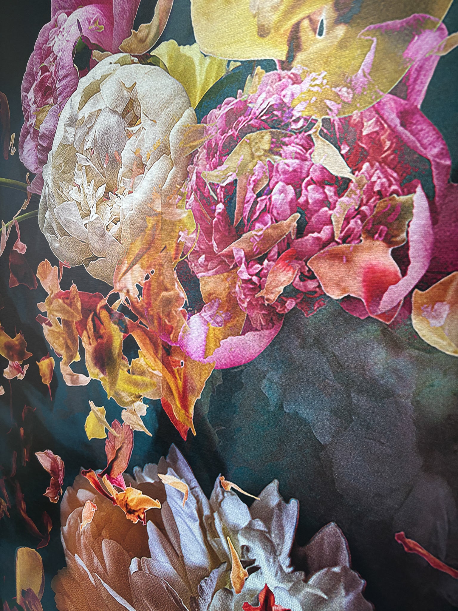 Les pivoines, 24 juin 9h52