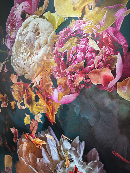 Les pivoines, 24 juin 9h52