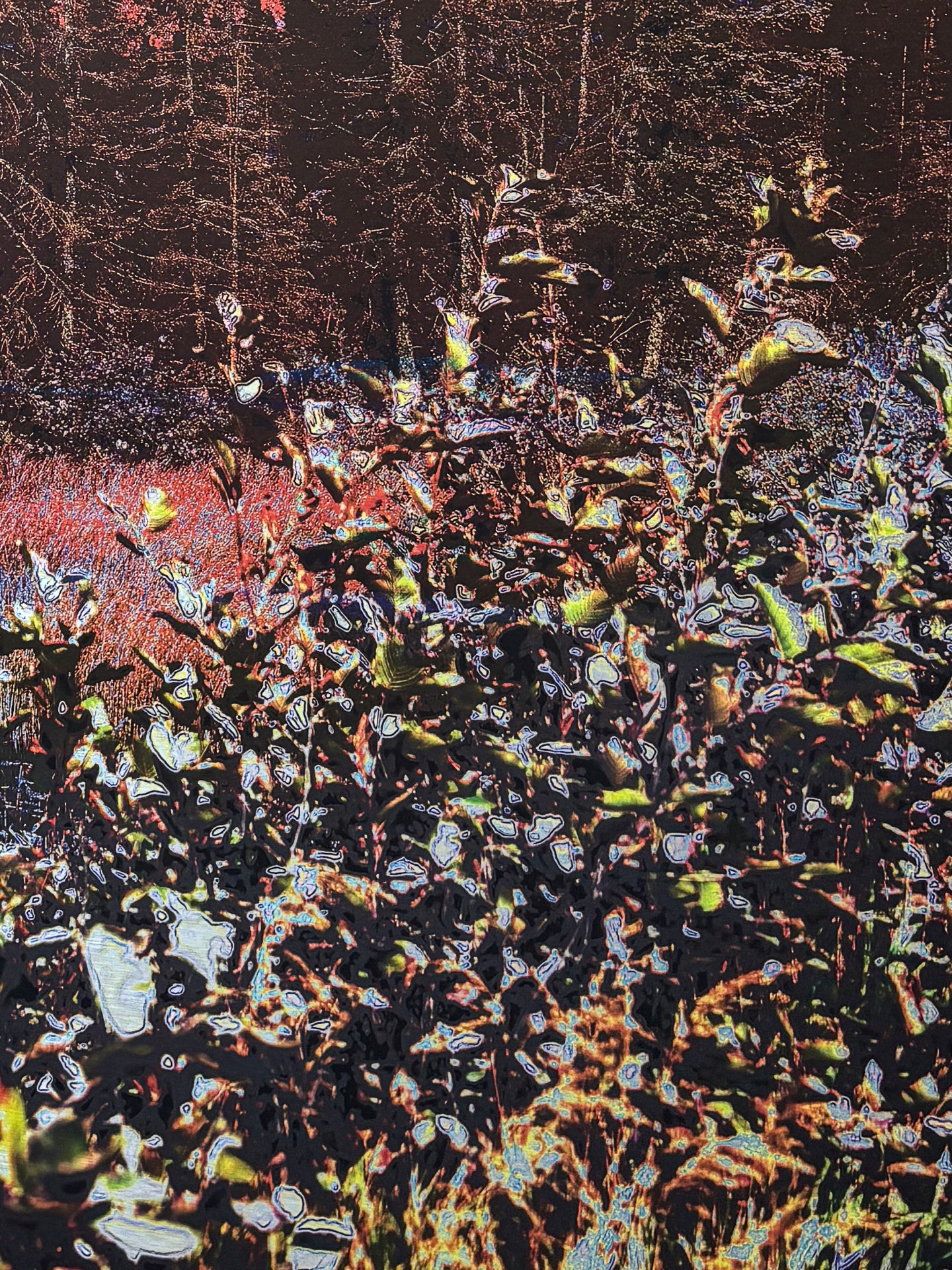 25 avril 9h20 : Je t’ai laissé entrer à l’heure du petit déjeuner