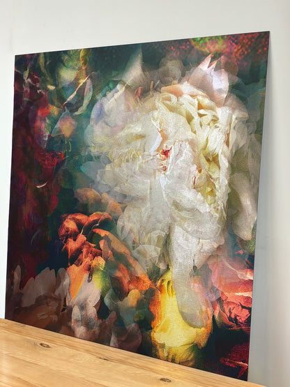 Les pivoines, 25 octobre 8h08