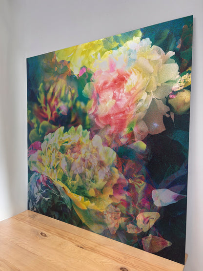 Les pivoines, 2 août 11h57