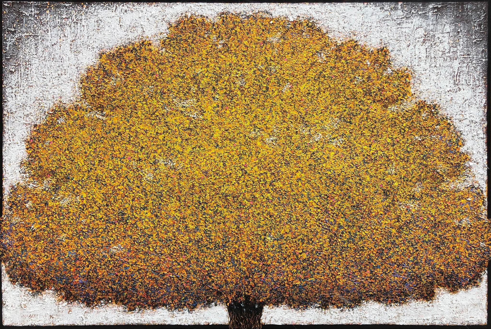 Tarabiscot Losangique