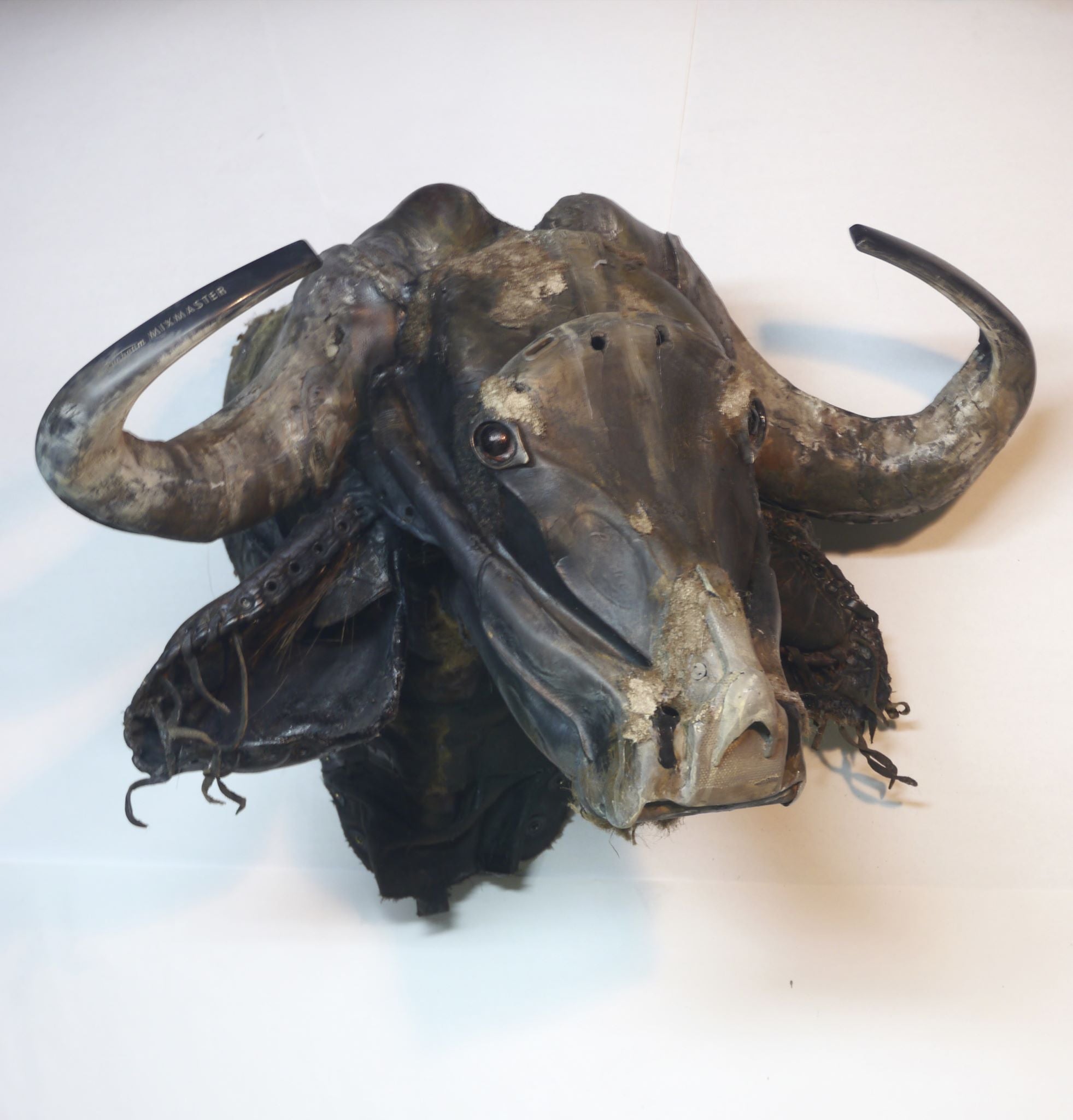 Buffle à cornes de Ski-doo