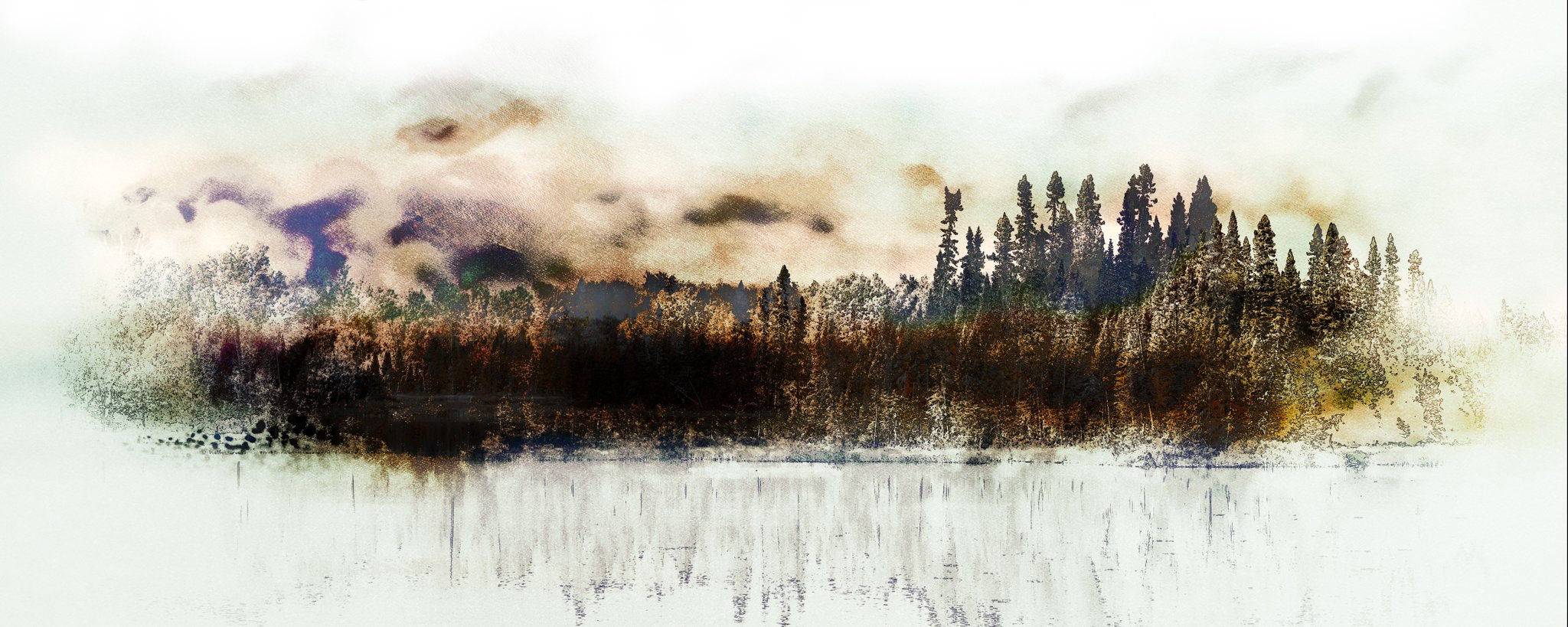 Les forêts, 6 août 11h49