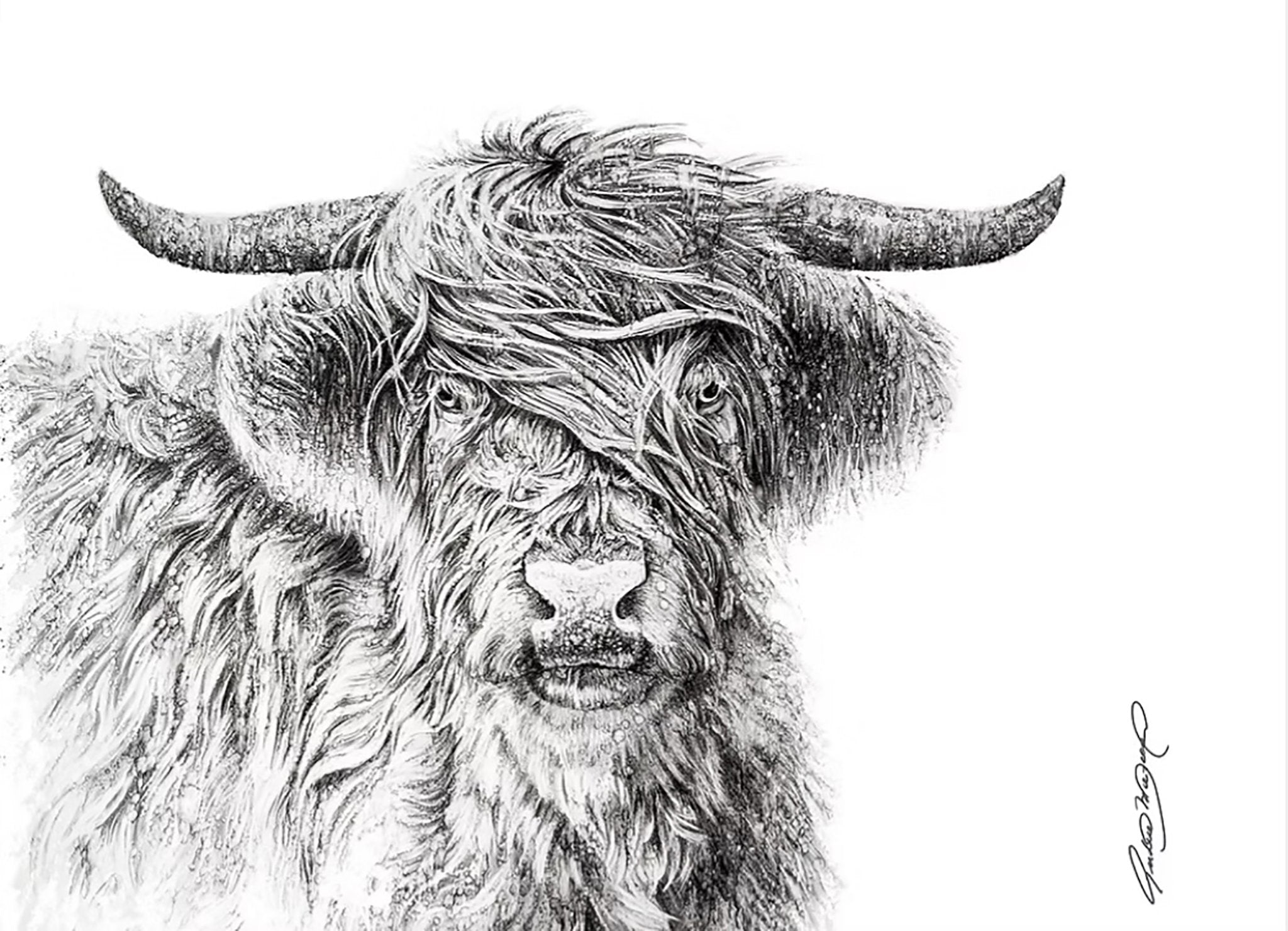 Vent des Hightlands (13/100) - Galerie d'Art Beauchamp