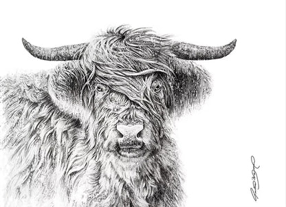 Vent des Hightlands (13/100) - Galerie d'Art Beauchamp