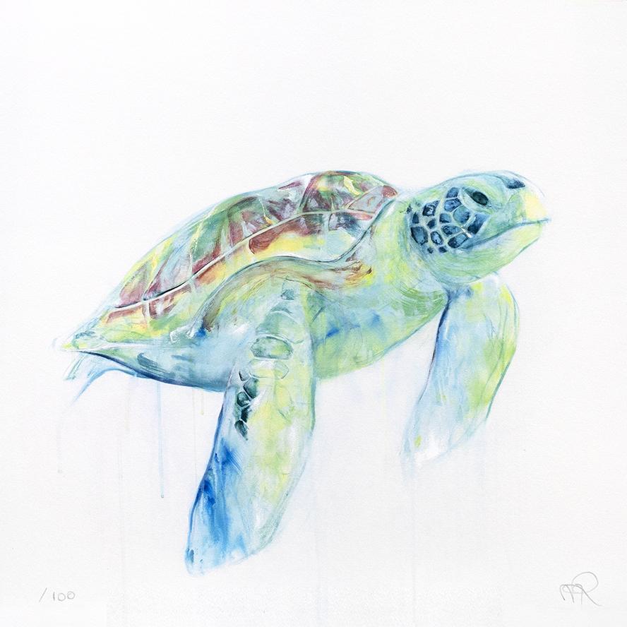 Turtle I (Série/Series), Rousseau, Myriam