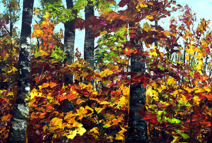 La plus belle des saisons, Kelly, Karina, Acrylic