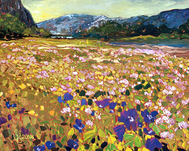 L’air de Skaftafellsjökull