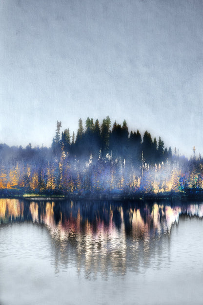 Les forêts, 8 août 12h48, Roy, Marjorie, Photo montage on white metal