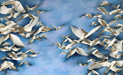 Birds - A flock of birds
