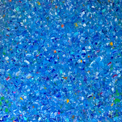 Sea Life