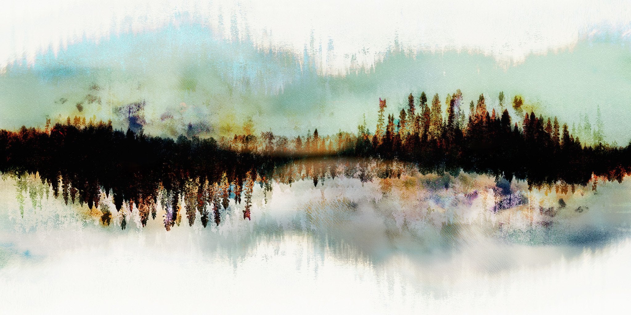 Les forêts, 23 août 16h16