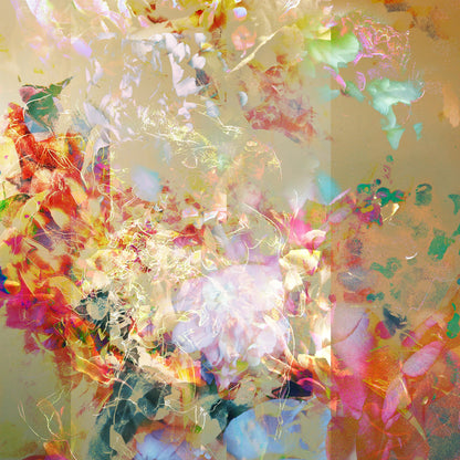 Les pivoines, 14 janvier 9h05