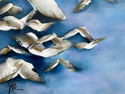 Birds - A flock of birds