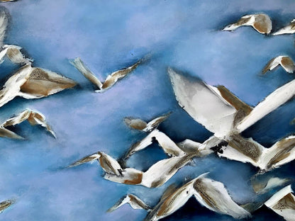 Birds - A flock of birds