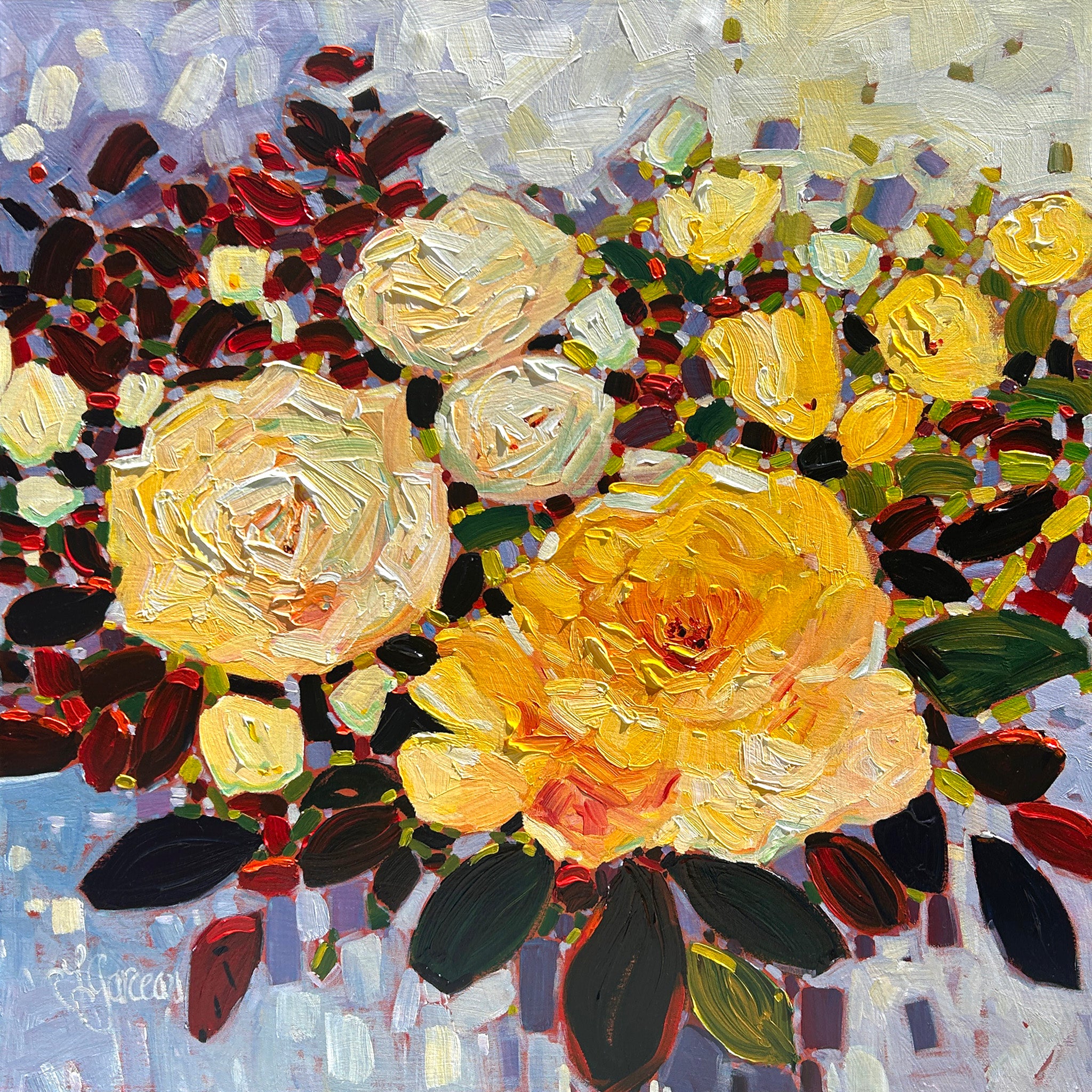 Rosa White Licorice