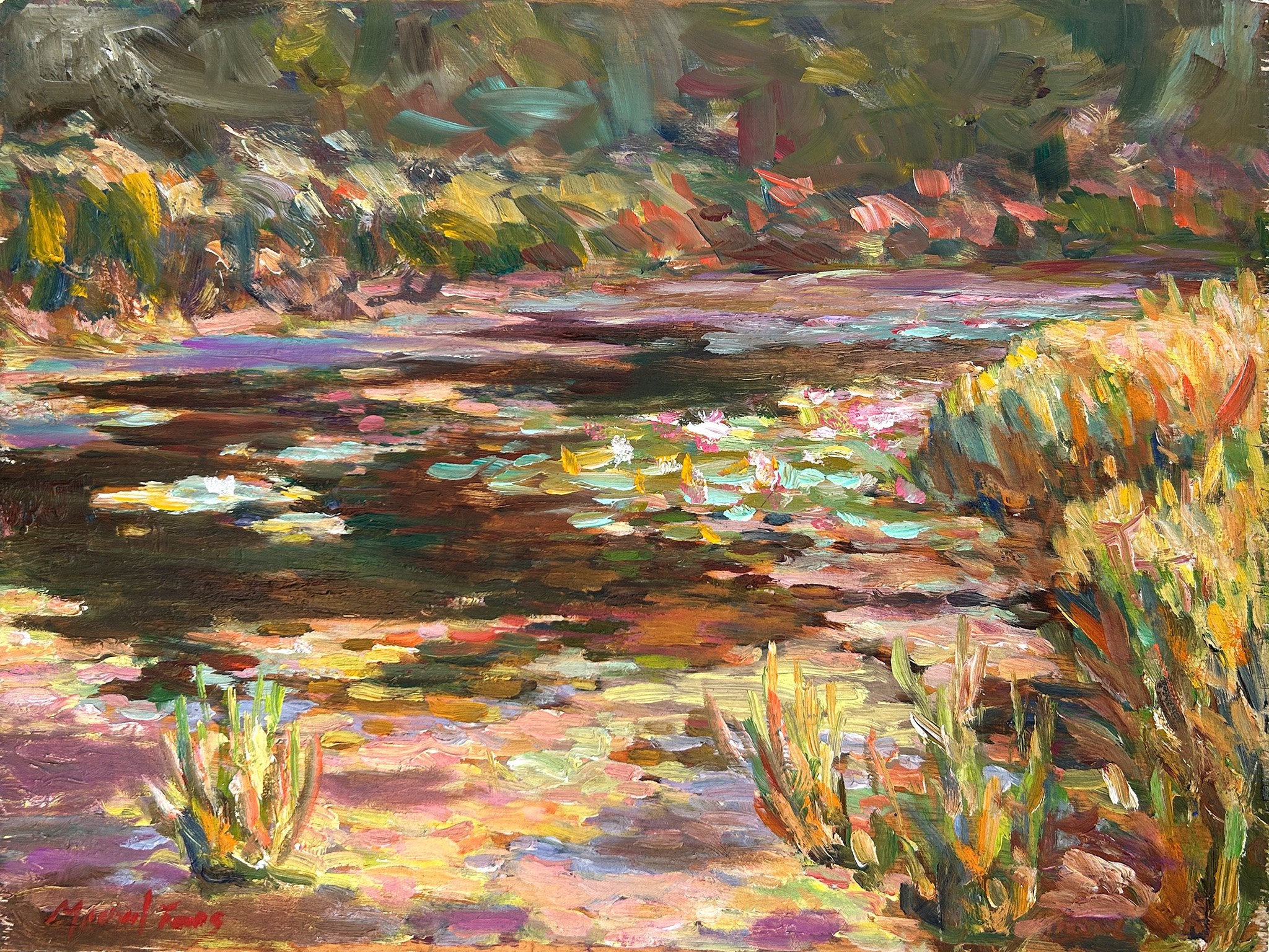 Schomberg Creek