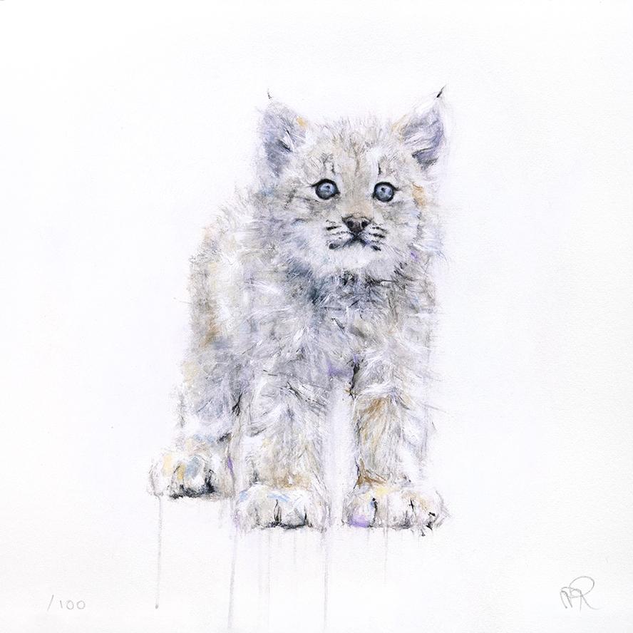 Lynx IV (Série/Series), Rousseau, Myriam