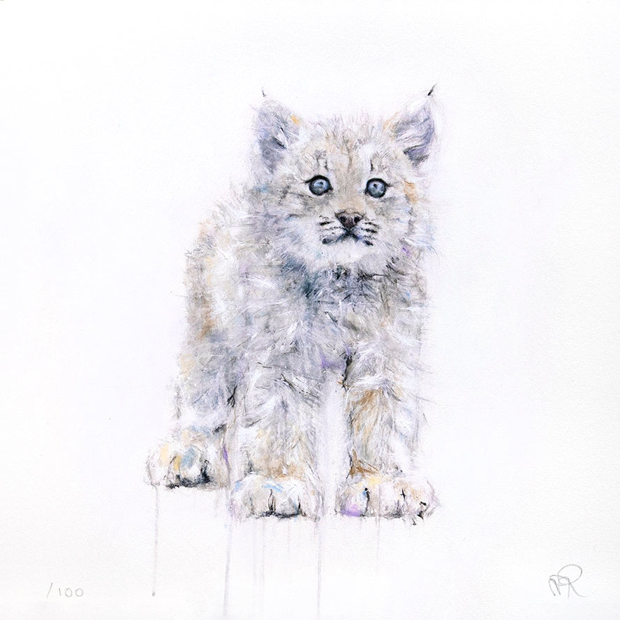 Lynx IV (9/100)