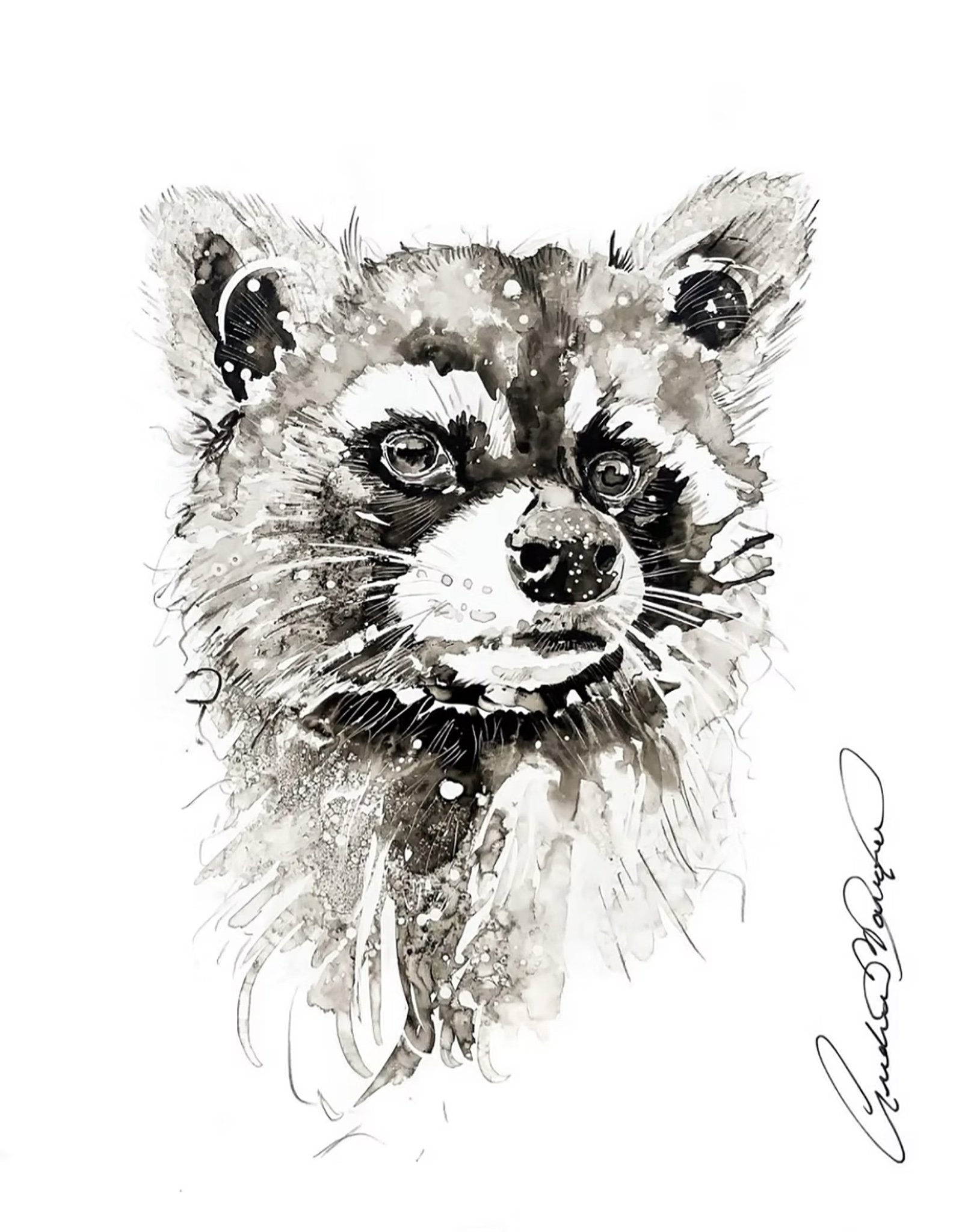 Le bandit masqué (14/100)