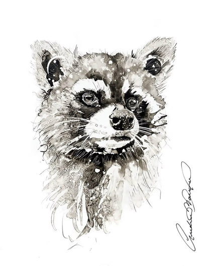 Le bandit masqué (14/100)