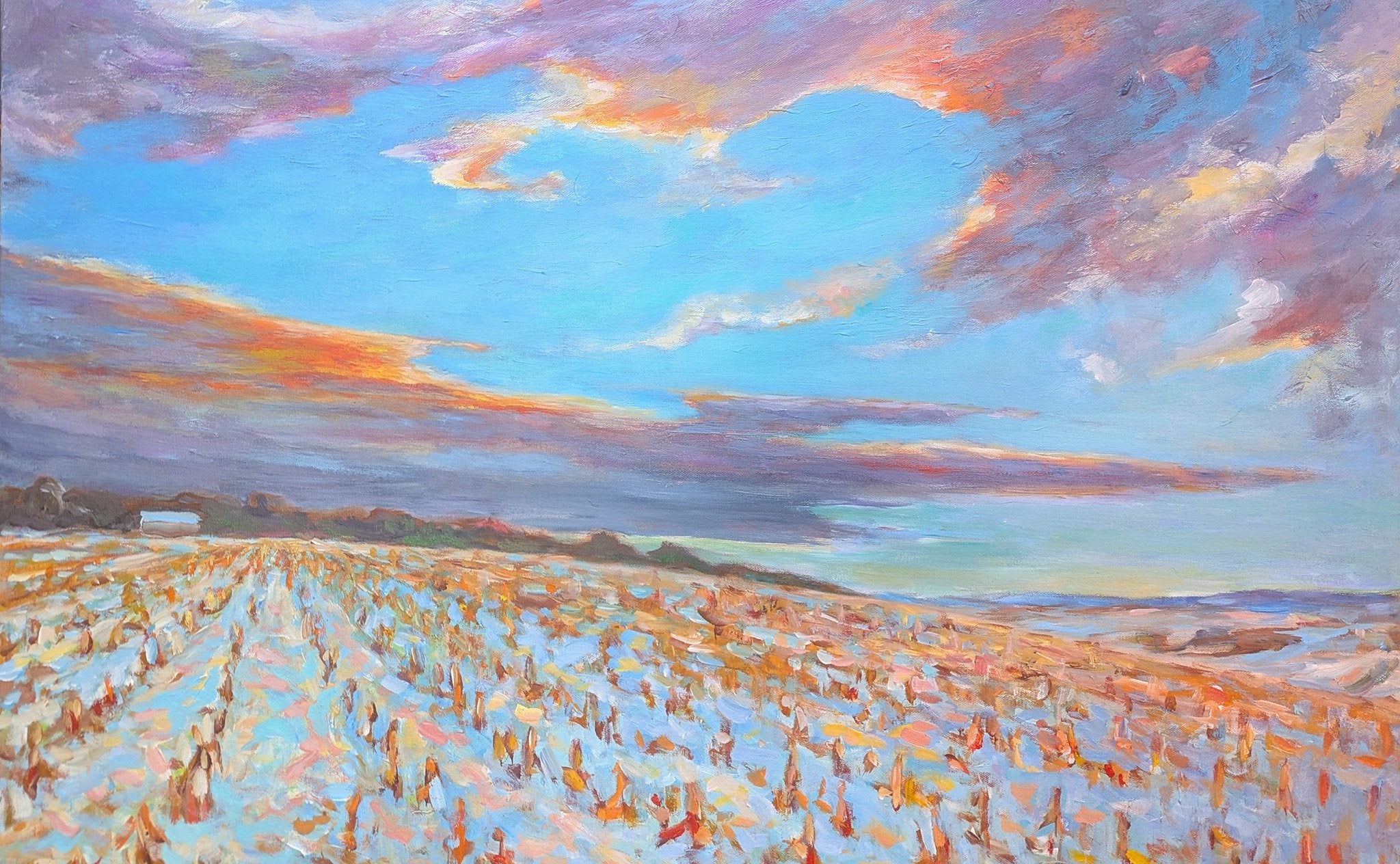 Cornfield near Cookstown