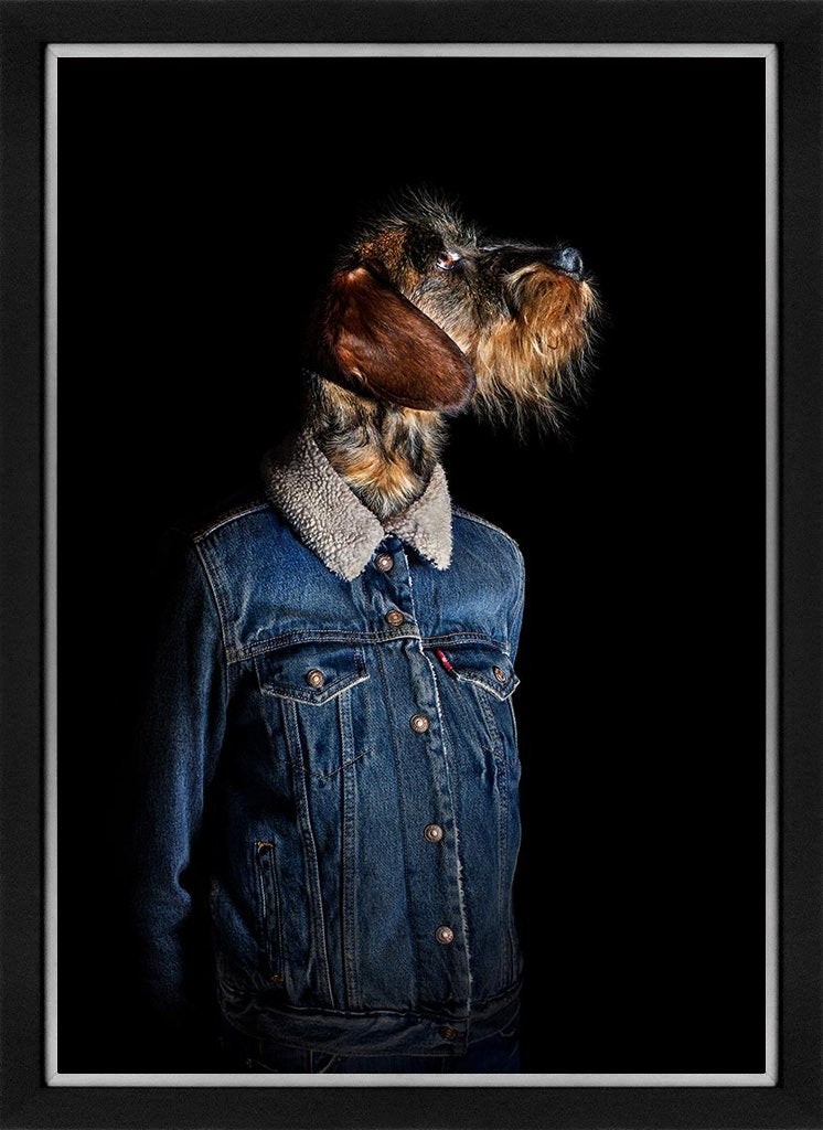 Can - Alma - Retrato número 53 (9/30)