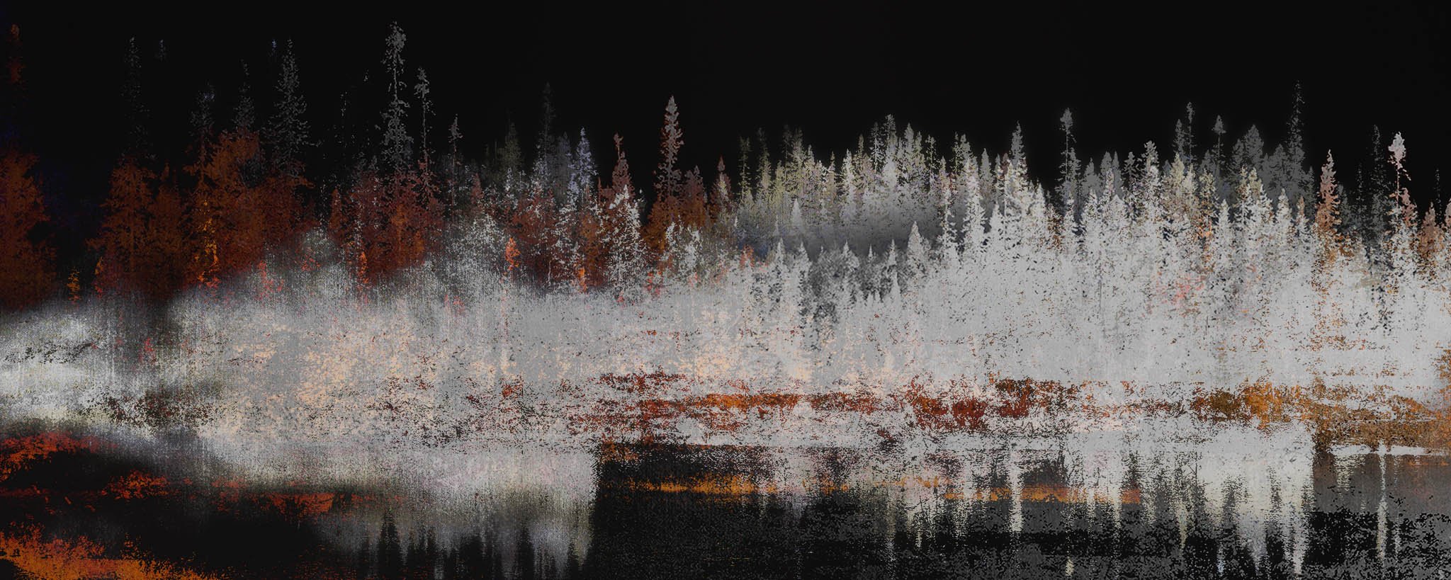 Les forêts, 25 août 17h13, Roy, Marjorie, Assemblage photo sur métal brossé