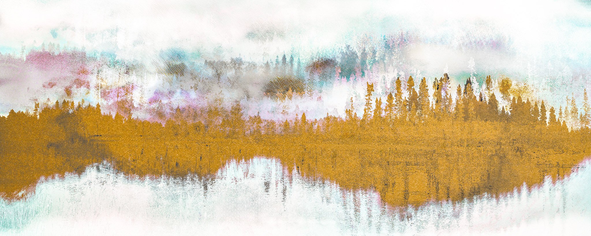 Les forêts, 21 août 11h04