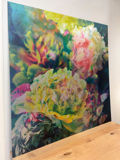 Les pivoines, 2 août 11h57