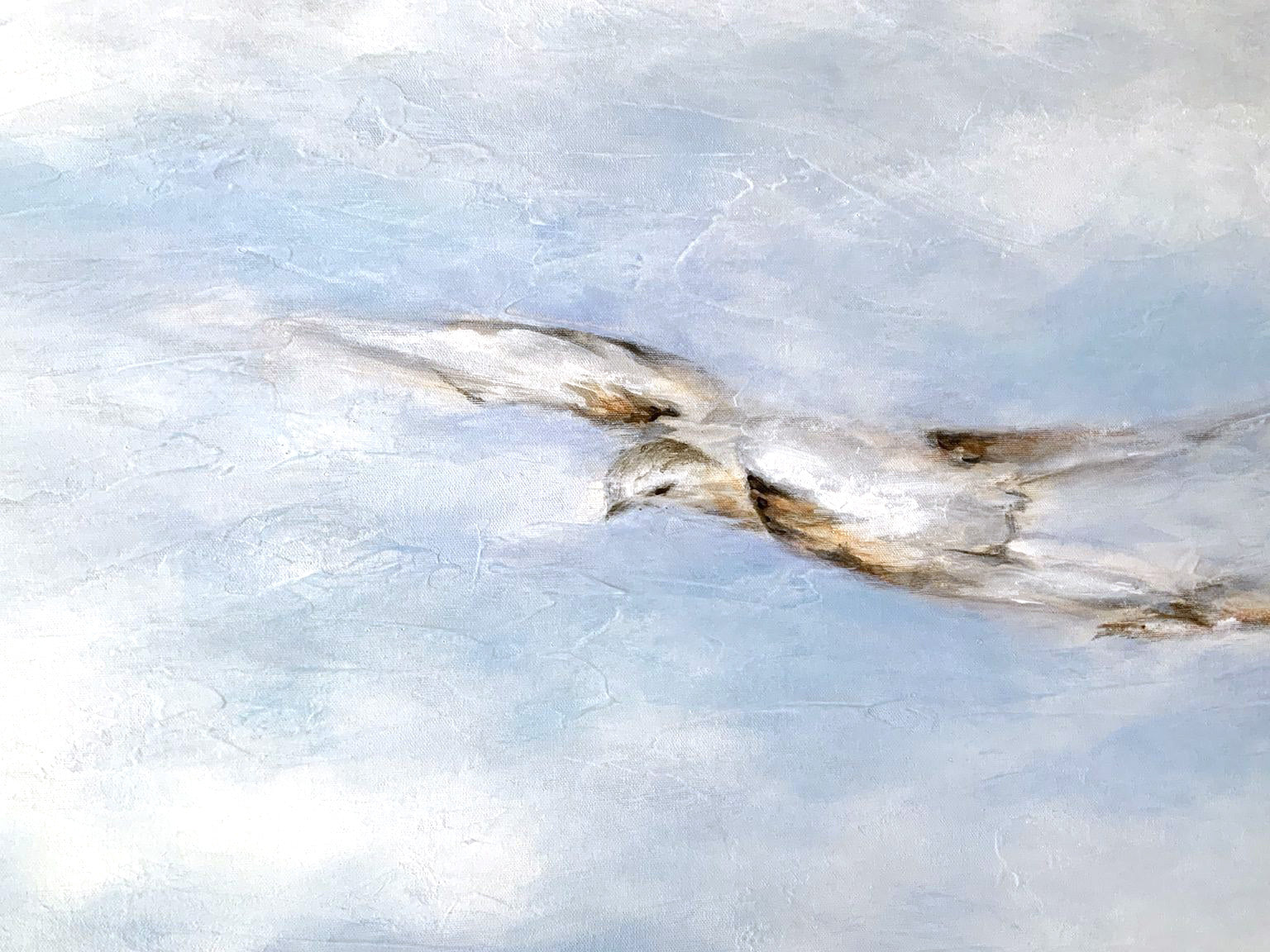 Overfly, Jolic