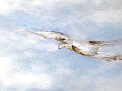 Overfly, Jolic