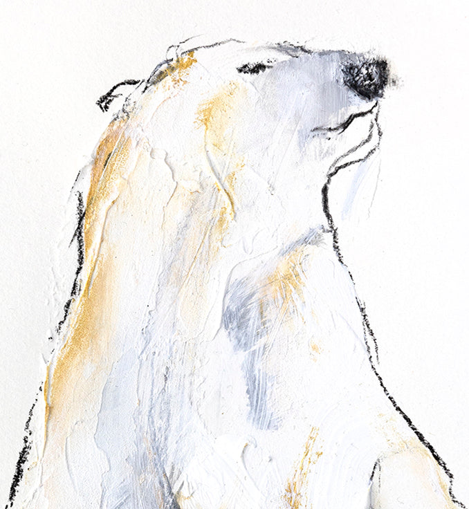 Polar Bear Étude XXIII