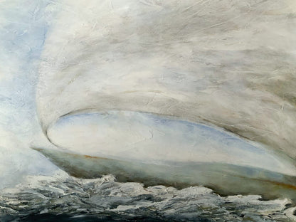 Sail - Magical moment under the sun